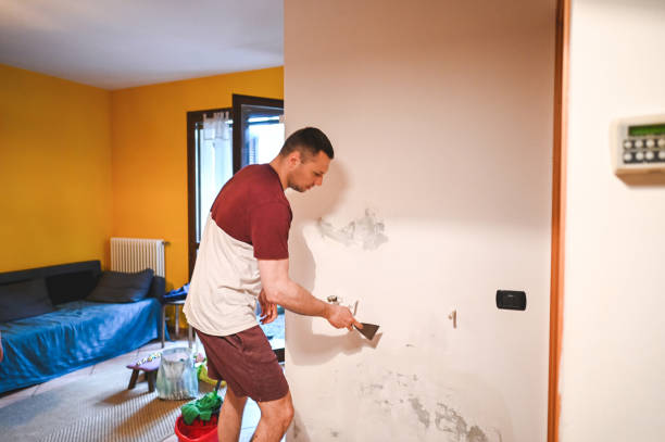 Best Residential Mold Remediation in Lake Geneva, WI
